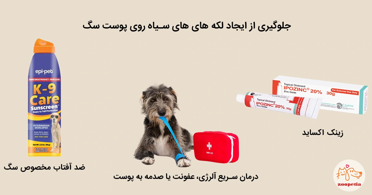 پیشگیری از ایجاد لکه های تیره سگ