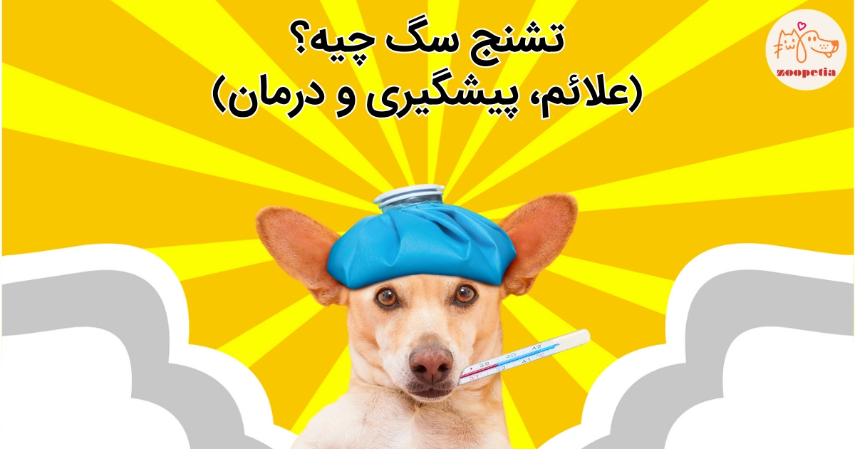 تشنج سگ