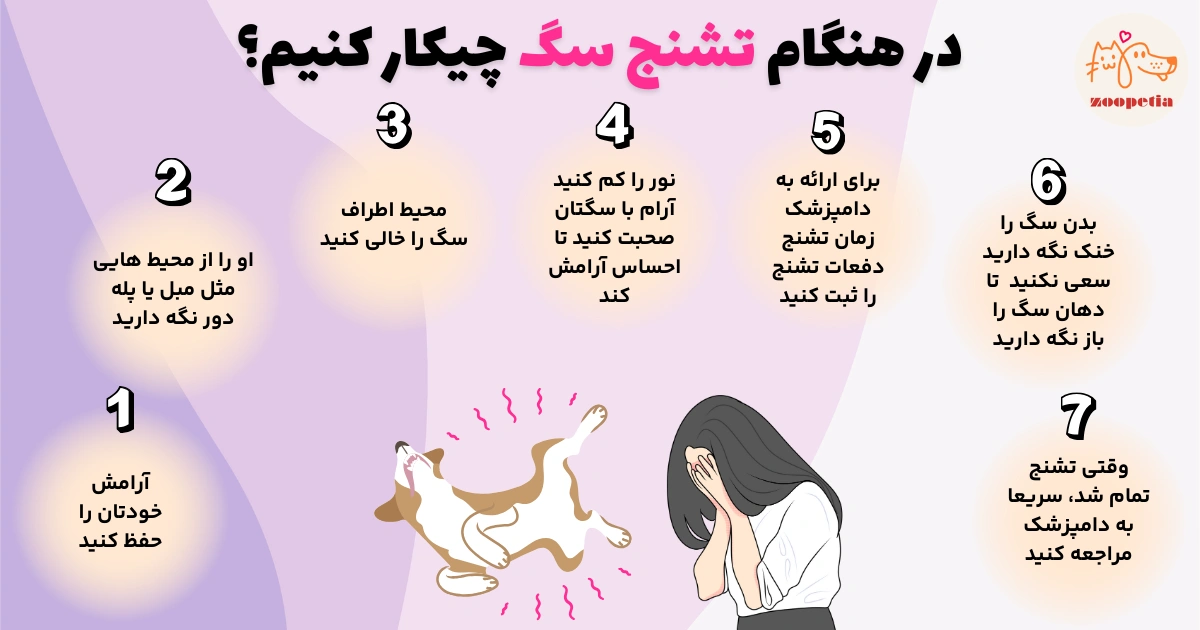 در هنگام تشنج سگ چیکار کنیم؟ درمان تشنج سگ