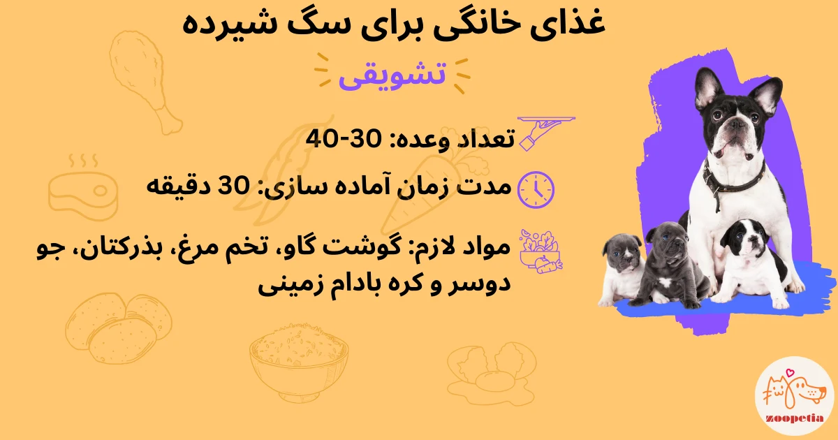 تهیه غذای خانگی برای سگ شیرده